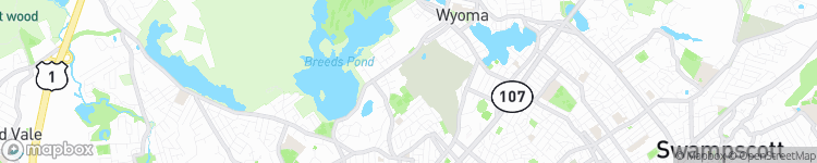 Lynn - map
