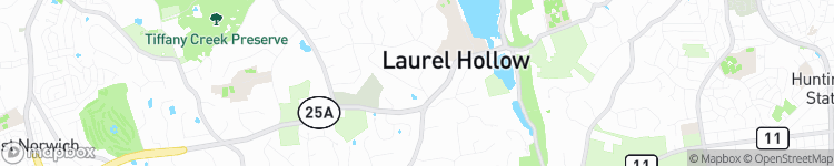 Laurel Hollow - map