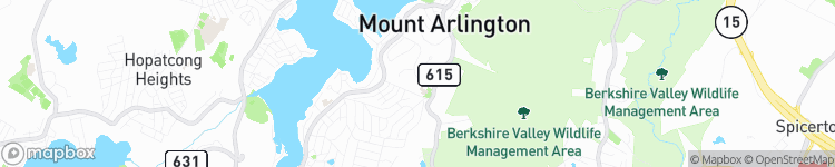 Mount Arlington - map