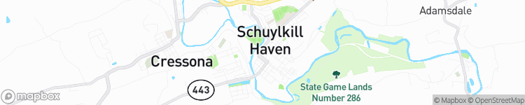 Schuylkill Haven - map