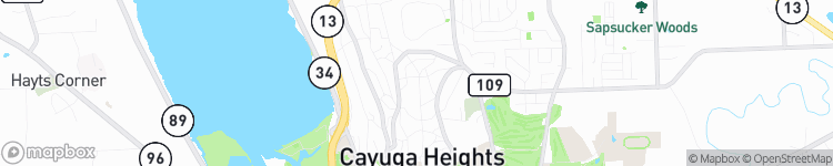 Cayuga Heights - map