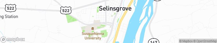 Selinsgrove - map