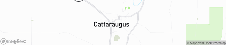 Cattaraugus - map