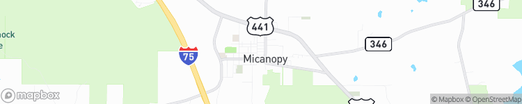 Micanopy - map