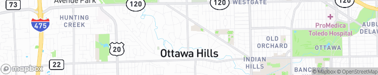 Ottawa Hills - map