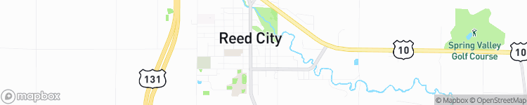 Reed City - map