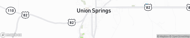 Union Springs - map