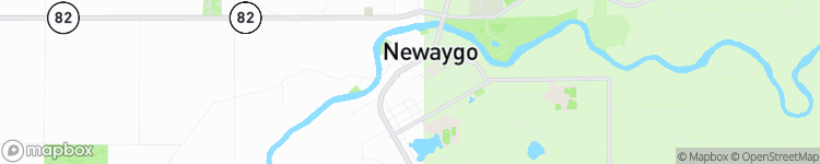 Newaygo - map