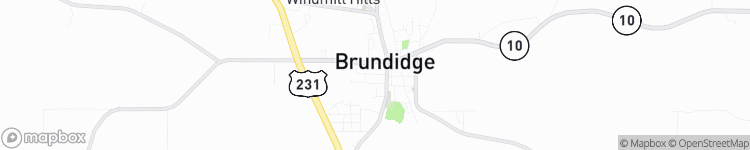 Brundidge - map