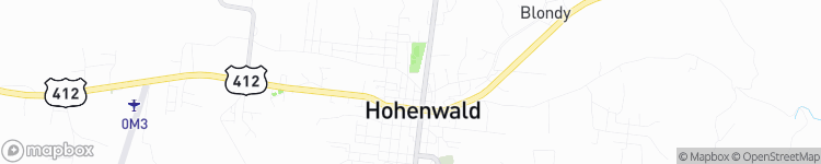 Hohenwald - map