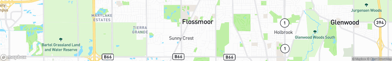 Flossmoor - map
