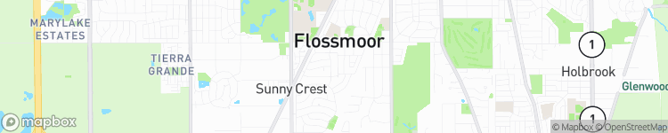 Flossmoor - map