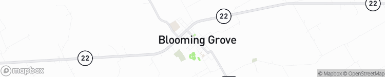 Blooming Grove - map